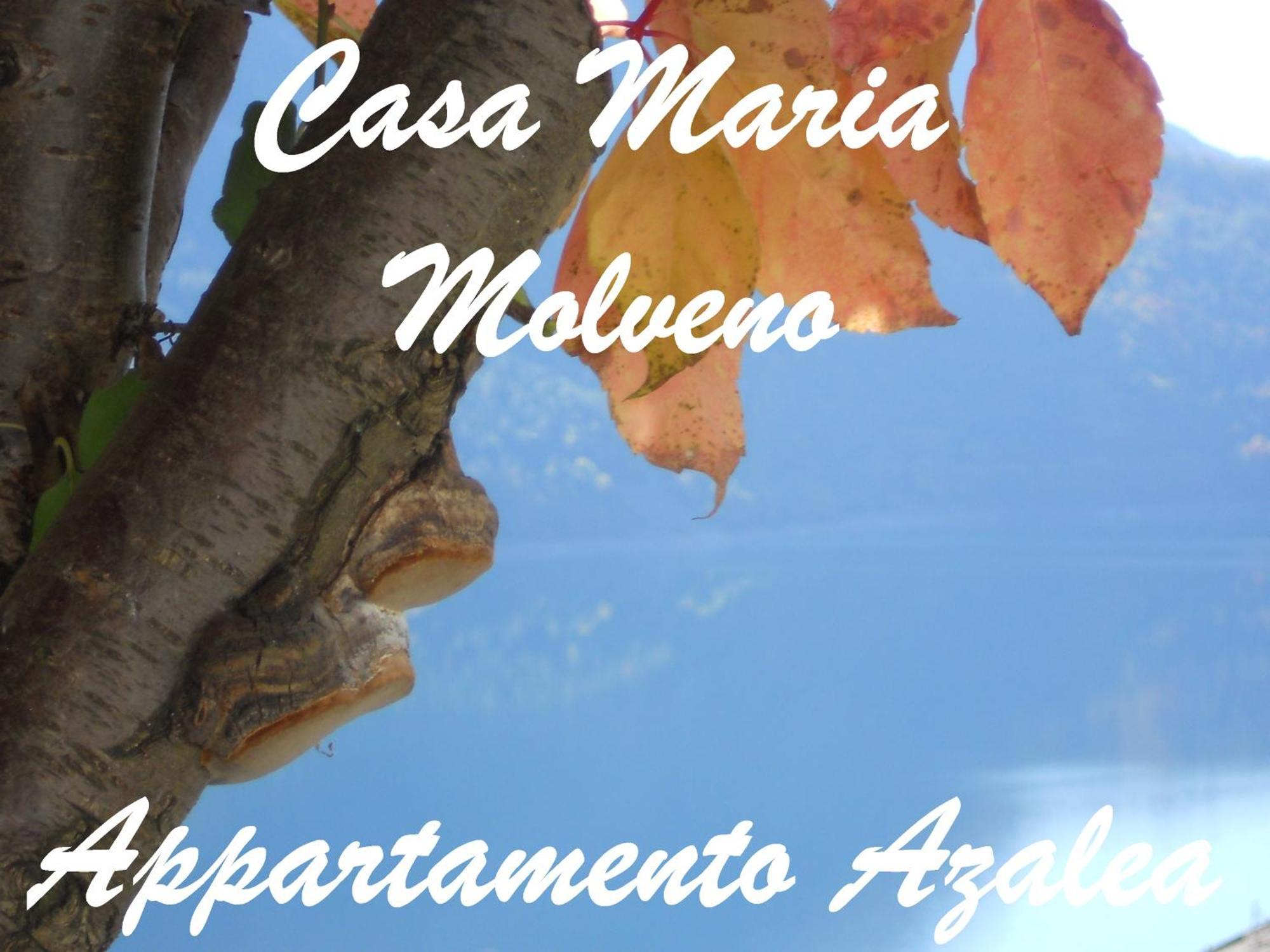 Apartmán Casa Maria Molveno Pokoj fotografie
